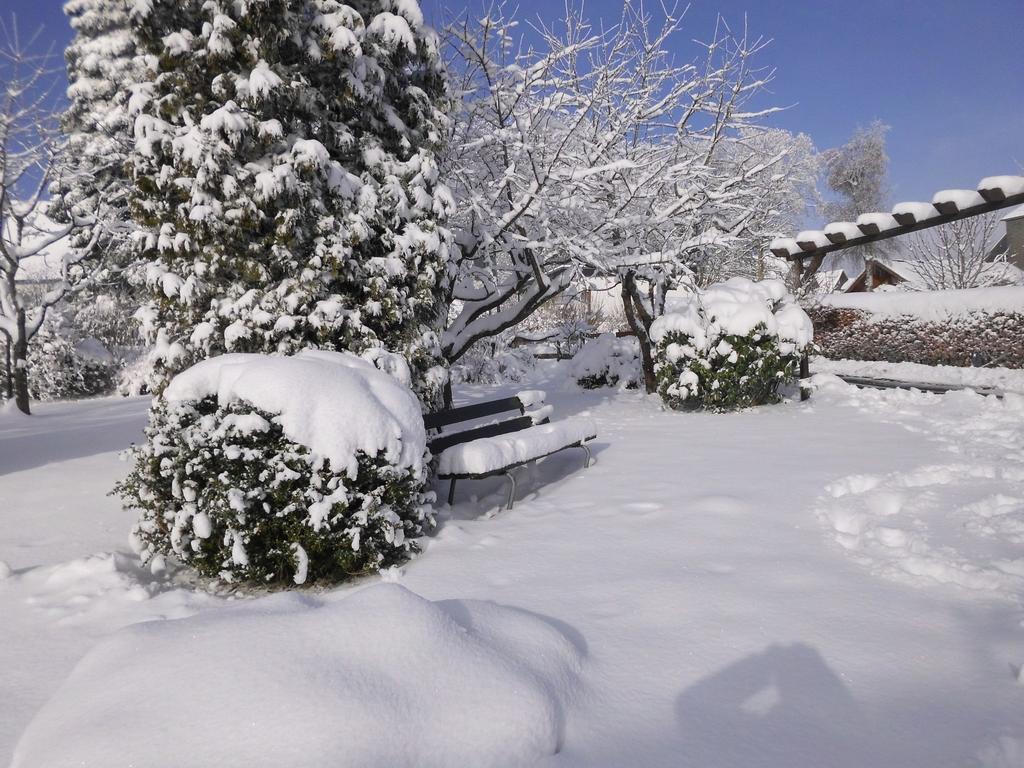 Apartment In Langewiese Sauerland With Garden 빈터베르크 외부 사진